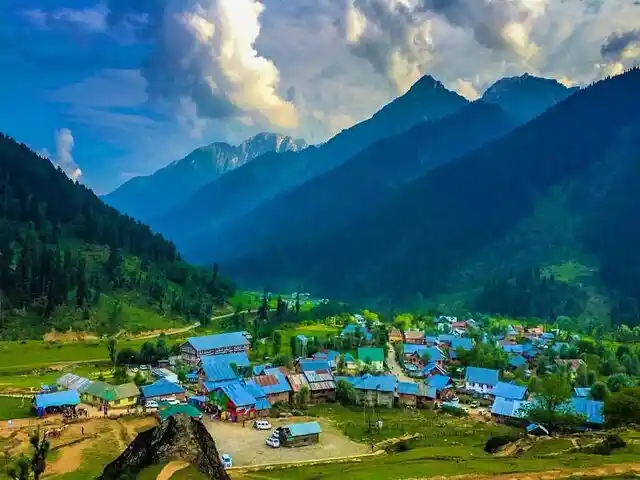 Wildflower meadows on the way to Aru Valley near Pahalgam