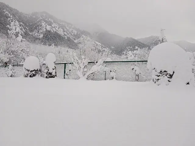 Chandanwari near Pahalgam, Kashmir